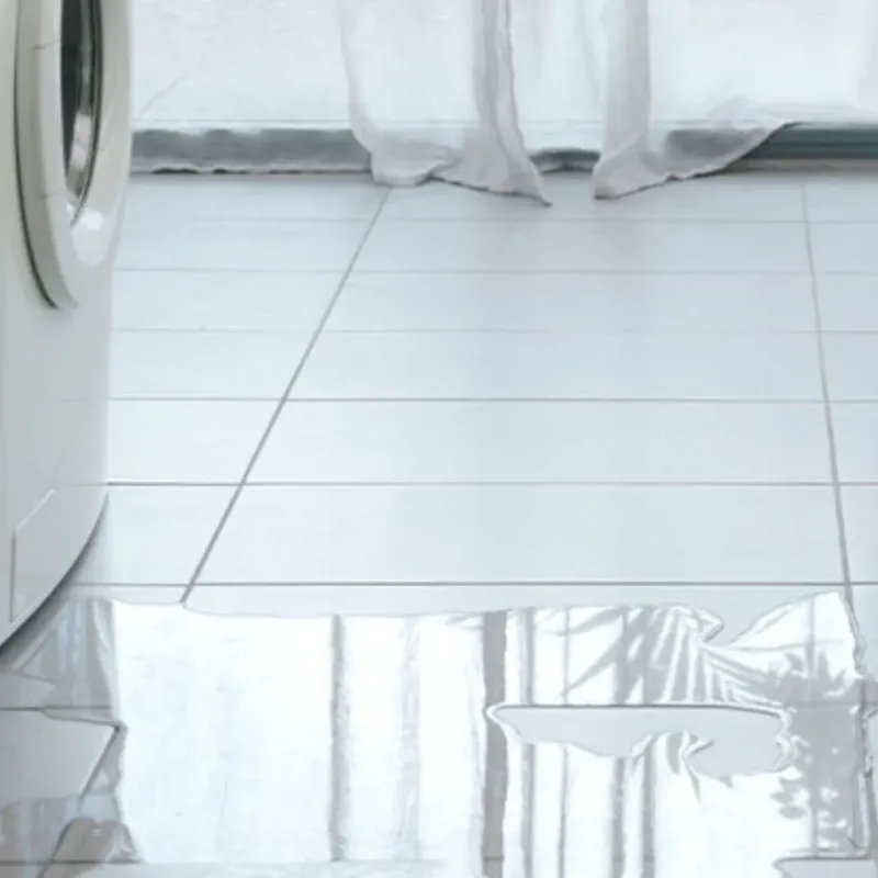 Appliance Leak Cleanup in Fairwood, WA