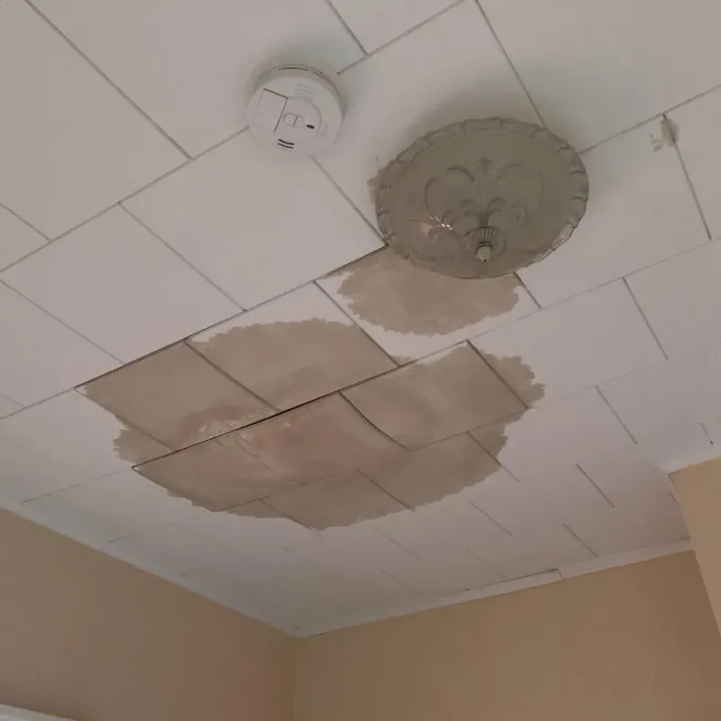Ceiling Water Damage Repair in Fairwood, WA