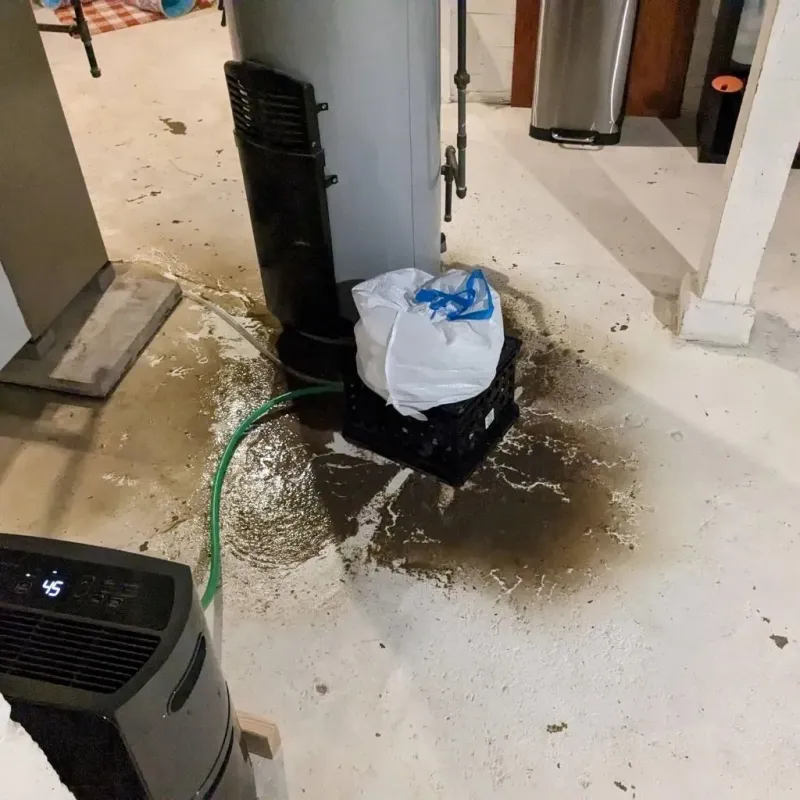 Sewage Backup Cleanup Service in Fairwood, WA
